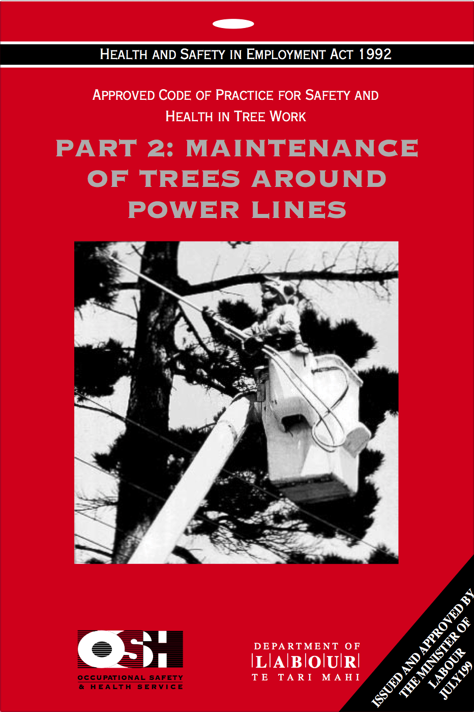 Maintenance of Trees Around Power Lines